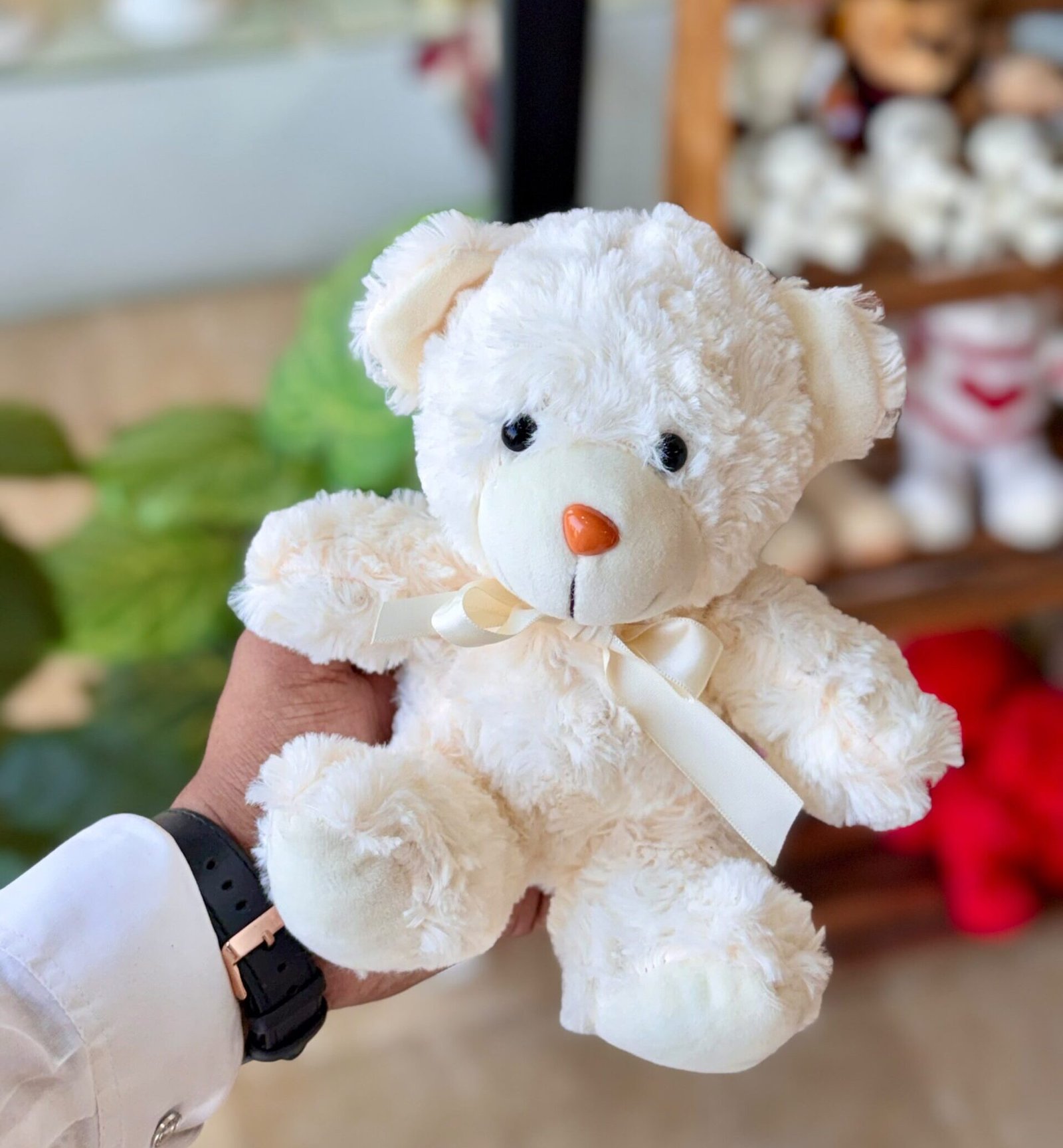 Cuddly Bear