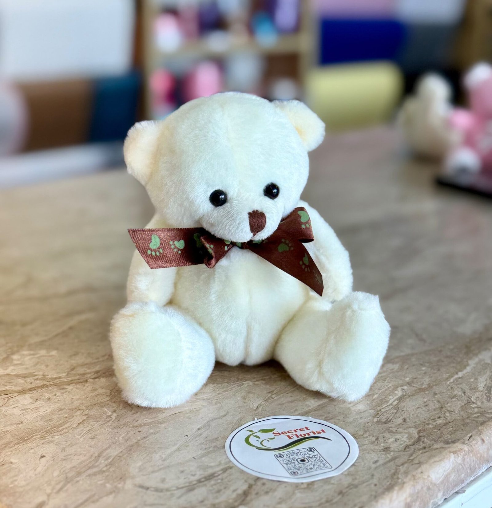 Cloudy Bear
